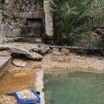 פרשת המים | אייל מרגולין - ג'יני