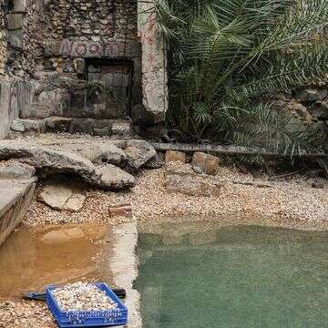 פרשת המים | אייל מרגולין - ג'יני פרשת המים | אייל מרגולין - ג'יני