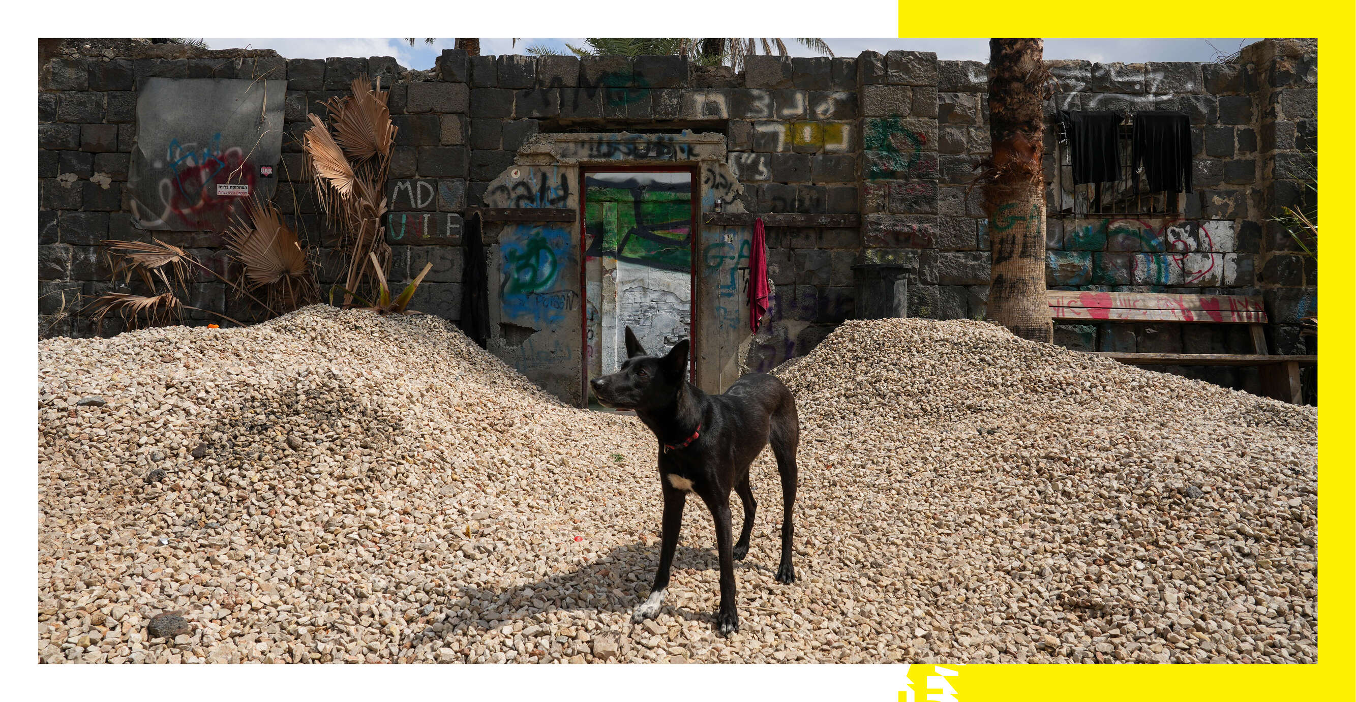 "אם היו רוצים רק לשפץ, אפשר היה לעשות את זה באלף פתרונות". אחד המבקרים במעיין | אייל מרגולין, ג׳יני