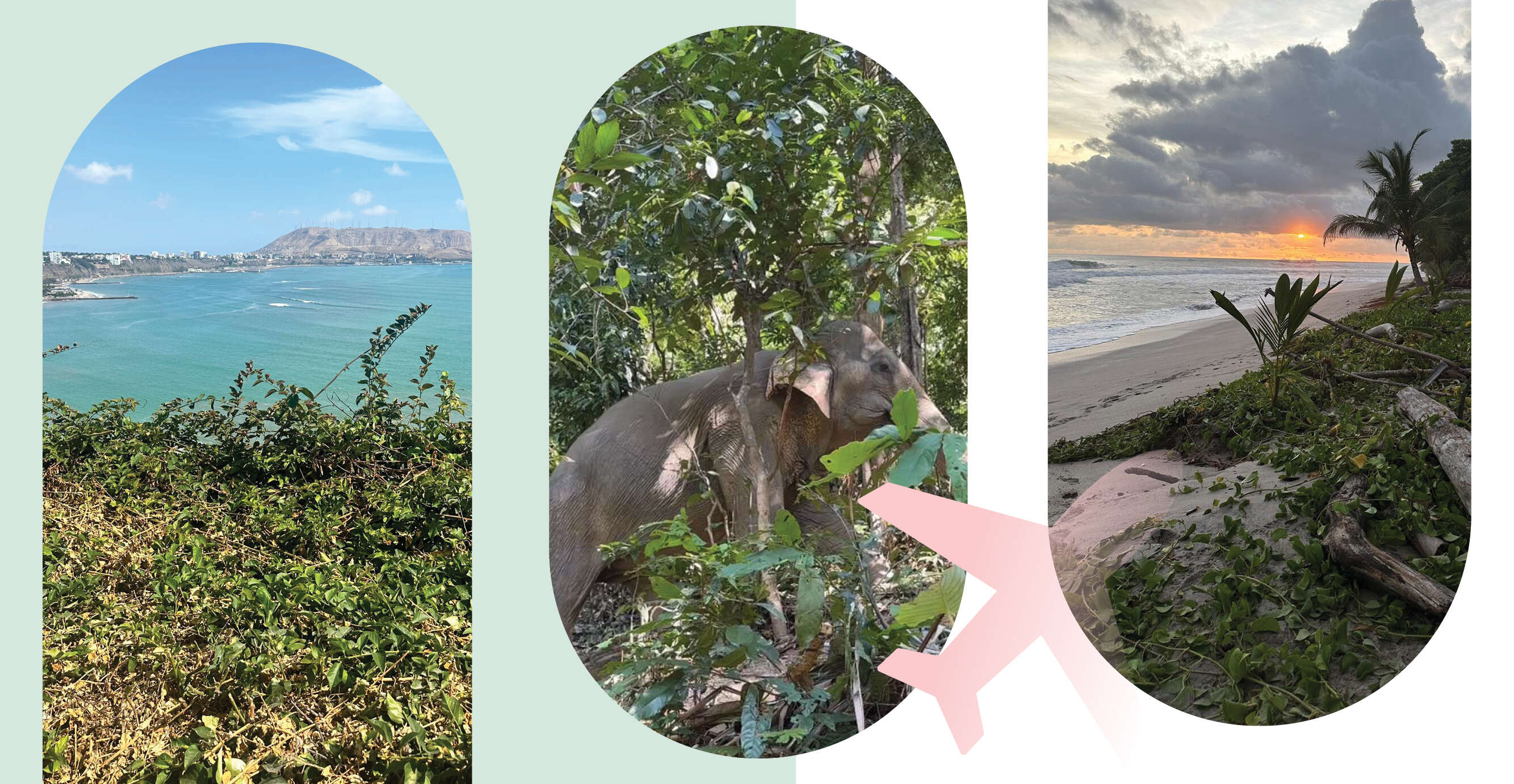 קוסטה ריקה, תאילנד, פרו | באדיבות המרואיינת