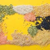 קטניות ועדשים | אפרת ליכטנשטט