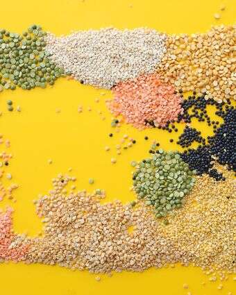 קטניות ועדשים | אפרת ליכטנשטט