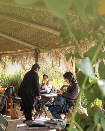 סודות נשות פרס | באדיבות ערוגות