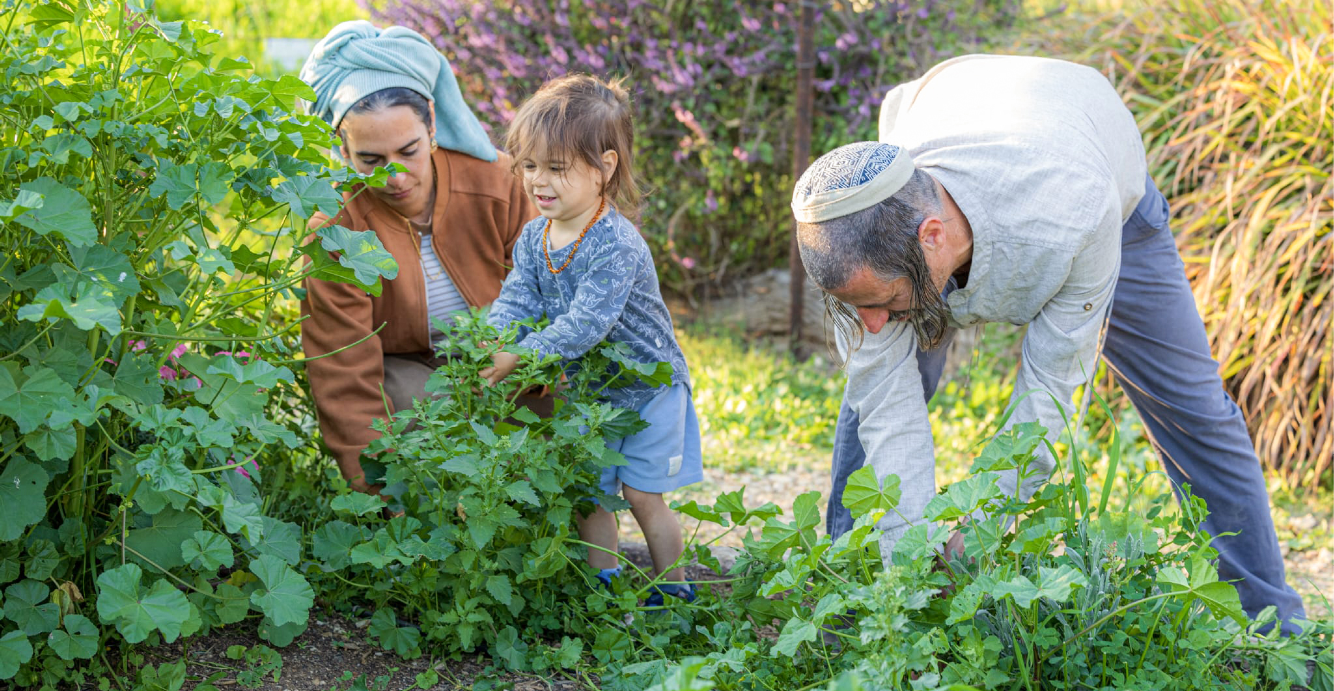באדיבות ערוגות