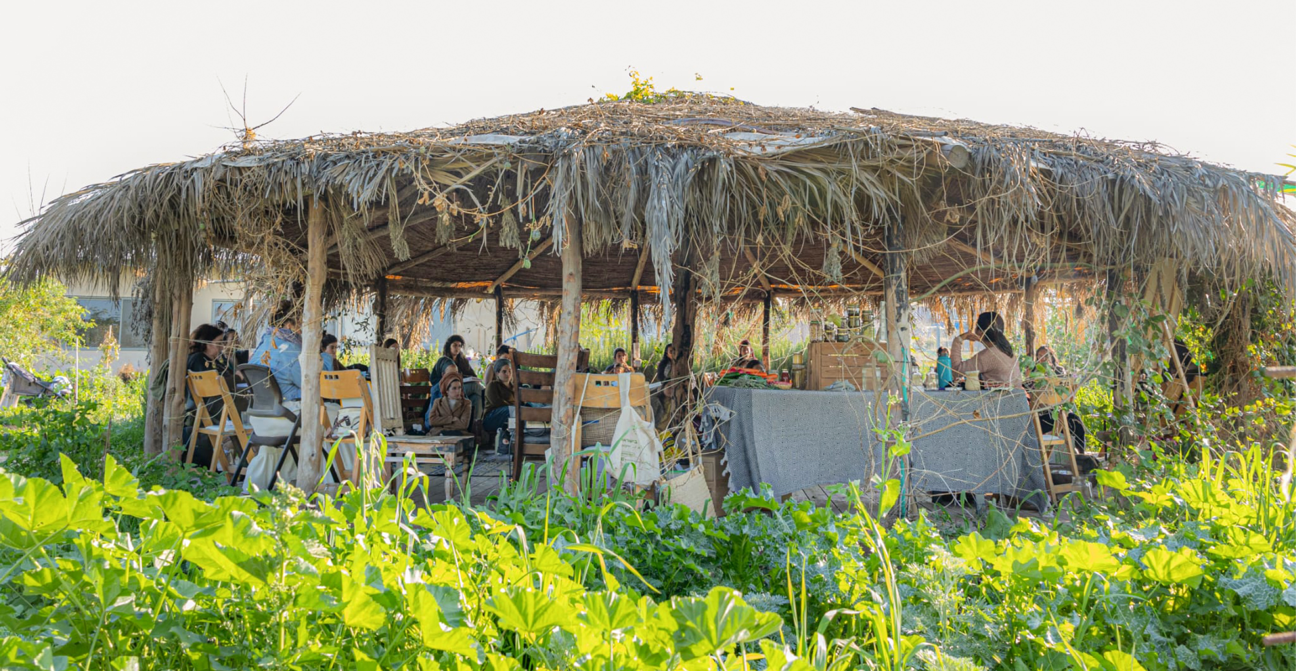 באדיבות ערוגות