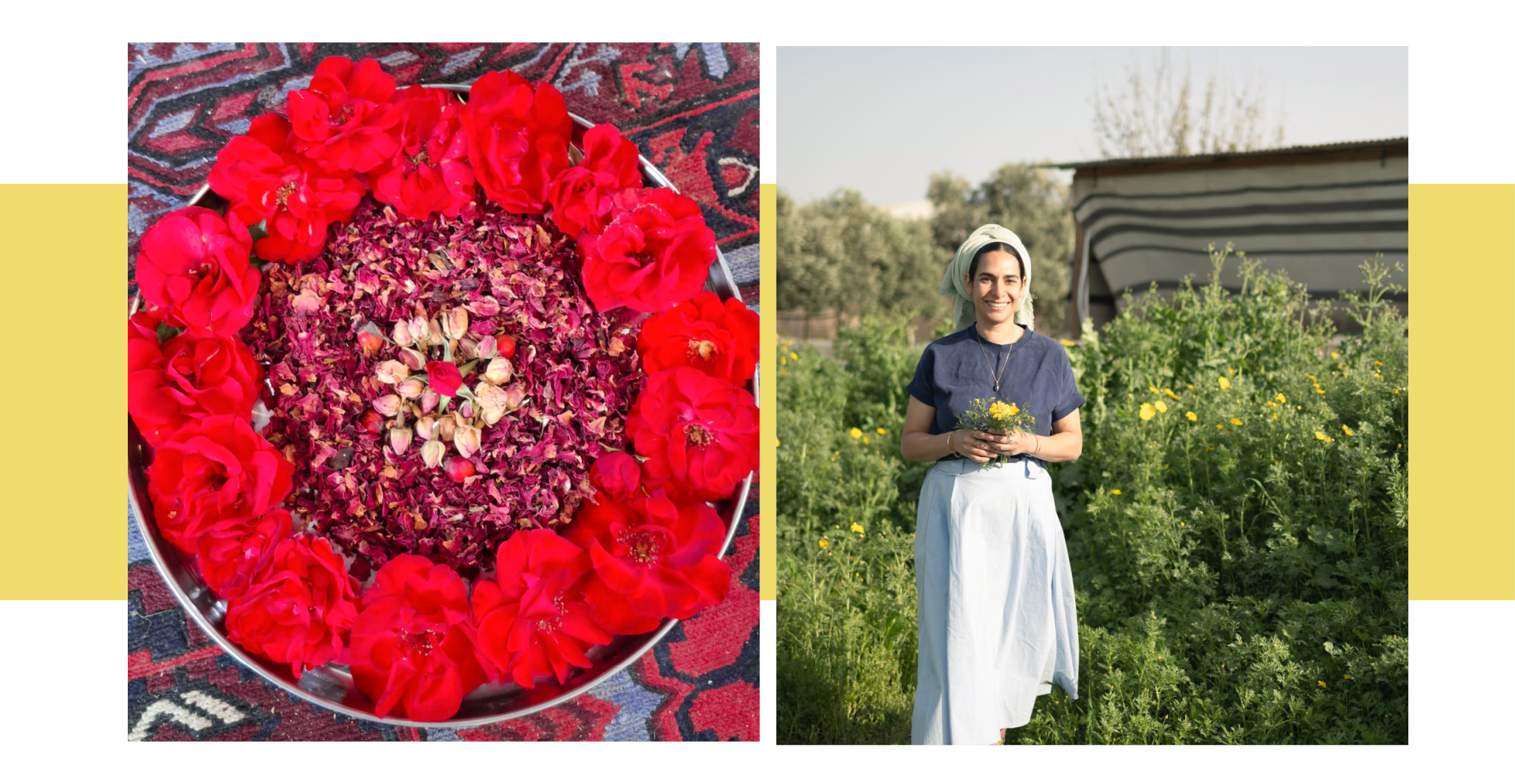 מי הוורדים מחברים בין בישול לקוסמטיקה, בין גוף לנפש | באדיבות ערוגות
