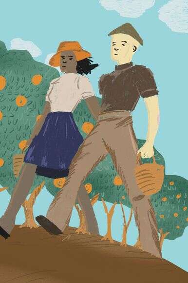 איור: תחיה קוטלרוב