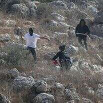 נערי גבעות בעונת מסיק הזיתים בכפר ביתא | נאצר אישתיה - פלאש90