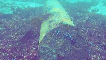 מוקש חלוד בקרקעית הים הבלטי | AFP