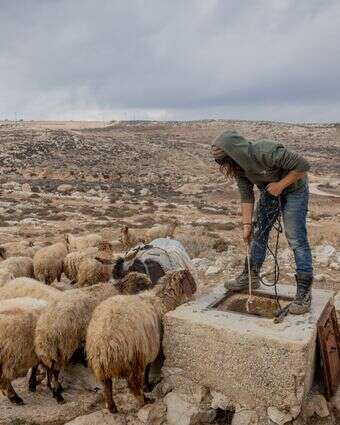 רעיית צאן בשומרון | חיים גולדברג - פלאש 90