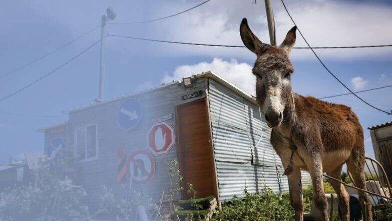 החצר האחורית | אריק סולטן