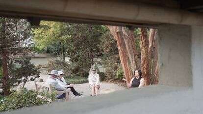 שון רמזי, מימין בקצה, מוביל מפגש "אמבטיית יער" בגן יפני מוקף חומה בארבורטום | AP/אלן ג'י בריד