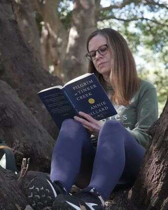 קלייר ג'פריס קוראת ספר של עץ אלון במהלך "אמבטיית יער" | AP/אלן ג'י בריד