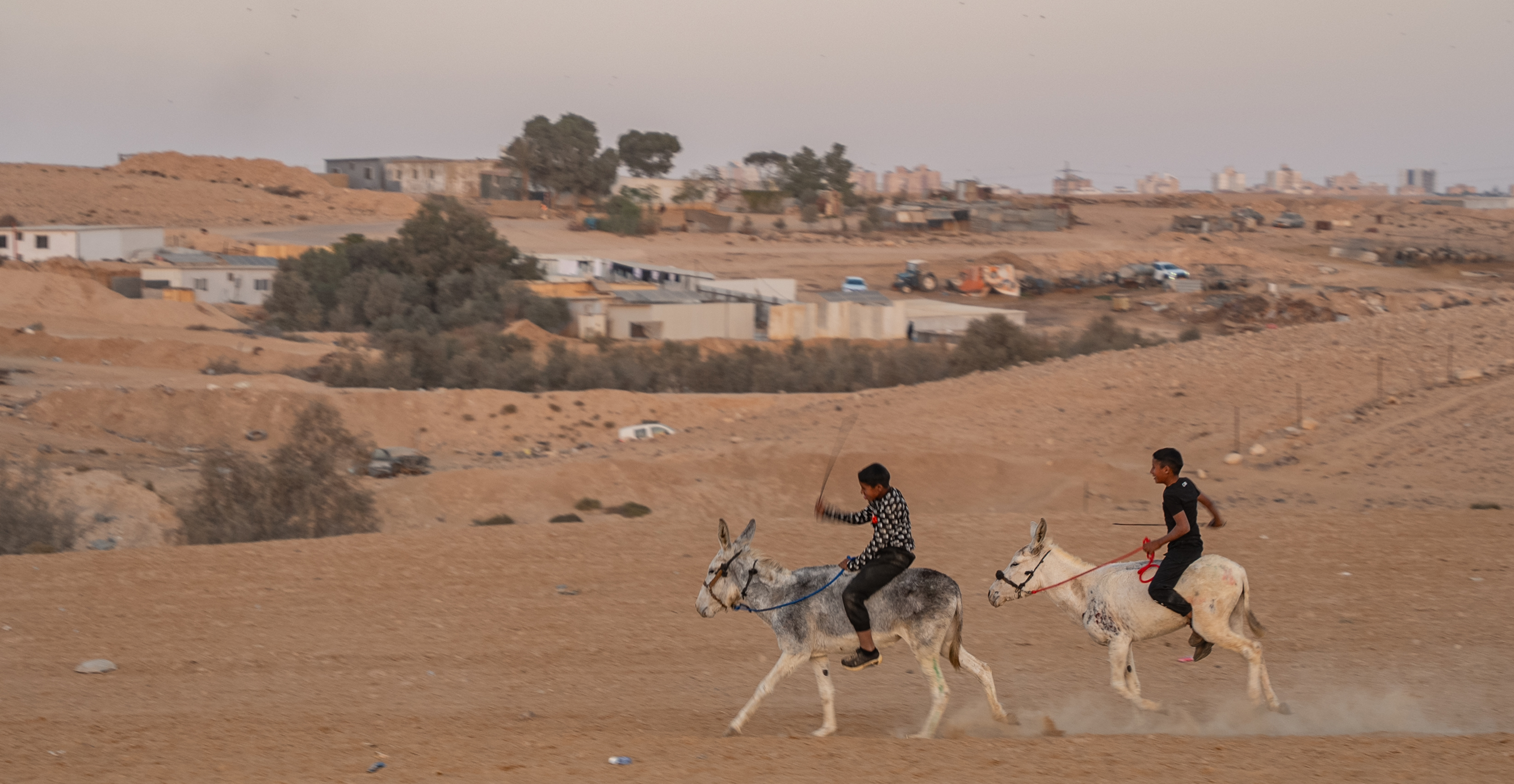 רעיון שנגנז. הפזורה הבדואית | יניב נדב, פלאש 90