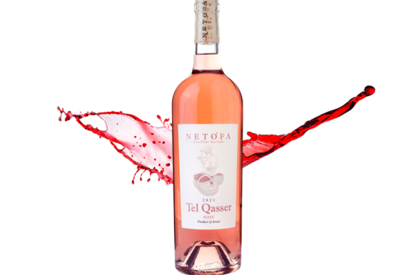 תל קאסר - רוזה נטופה | יח"צ