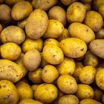 תפוחי אדמה | נתי שוחט, פלאש 90