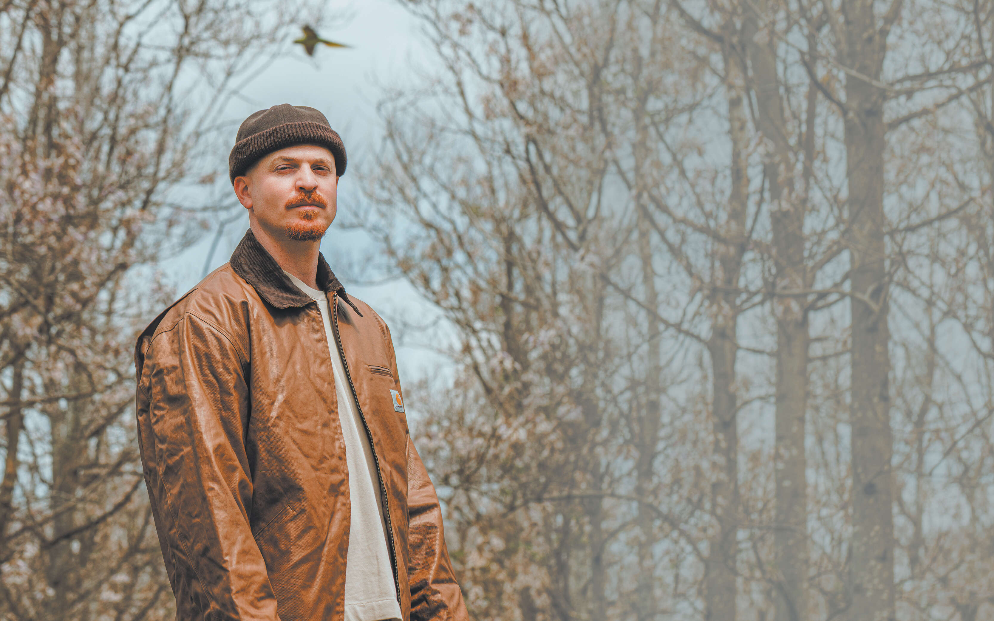 רסיסים של אור | ניר אמיתי