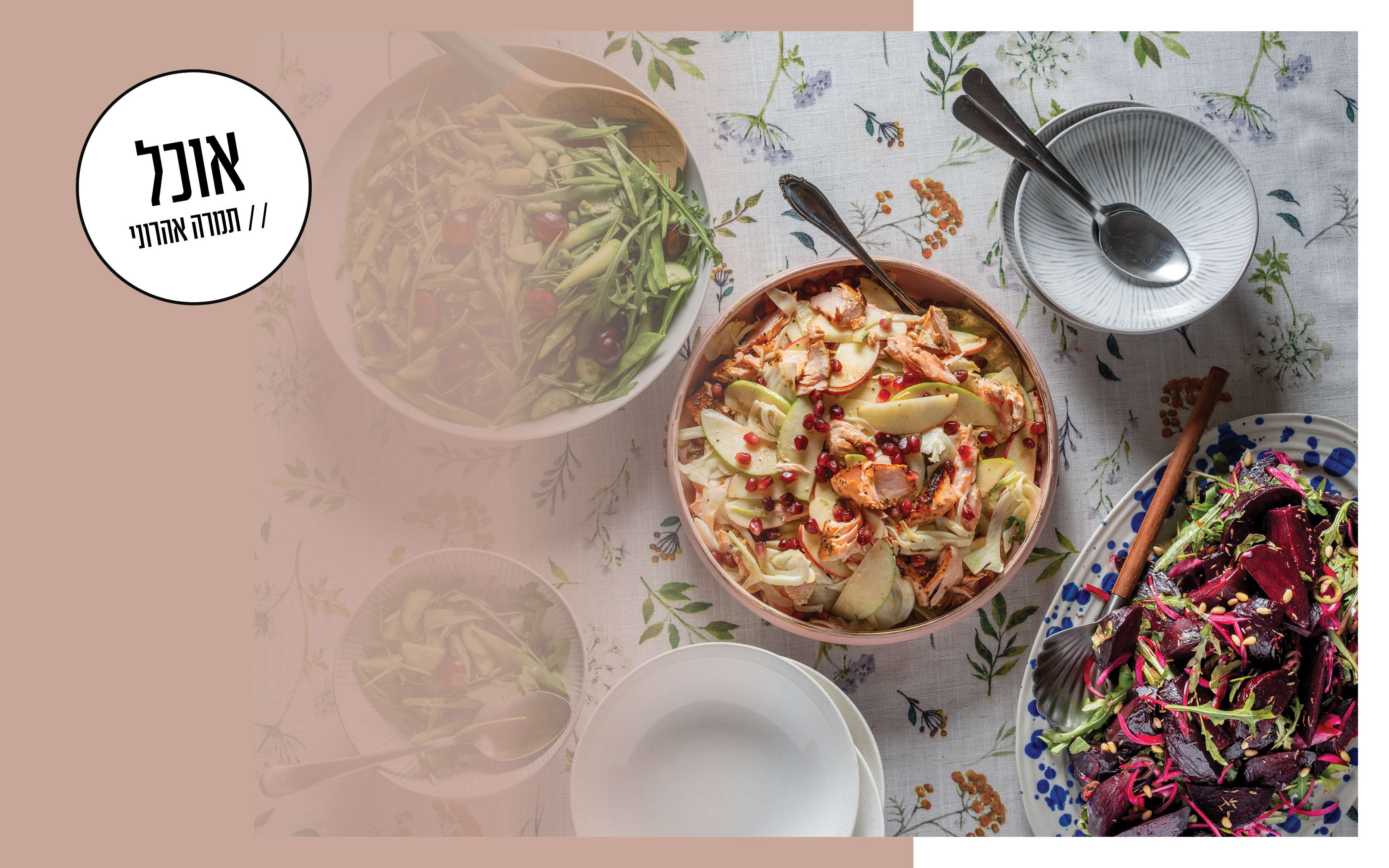 קערת הסדר | גיא אשכנזי, Karela Agency