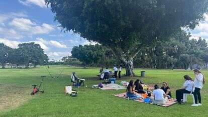 גן לאומי רמת גן | צ'ק אין אאוט