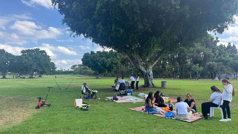 גן לאומי רמת גן | צ'ק אין אאוט גן לאומי רמת גן | צ'ק אין אאוט