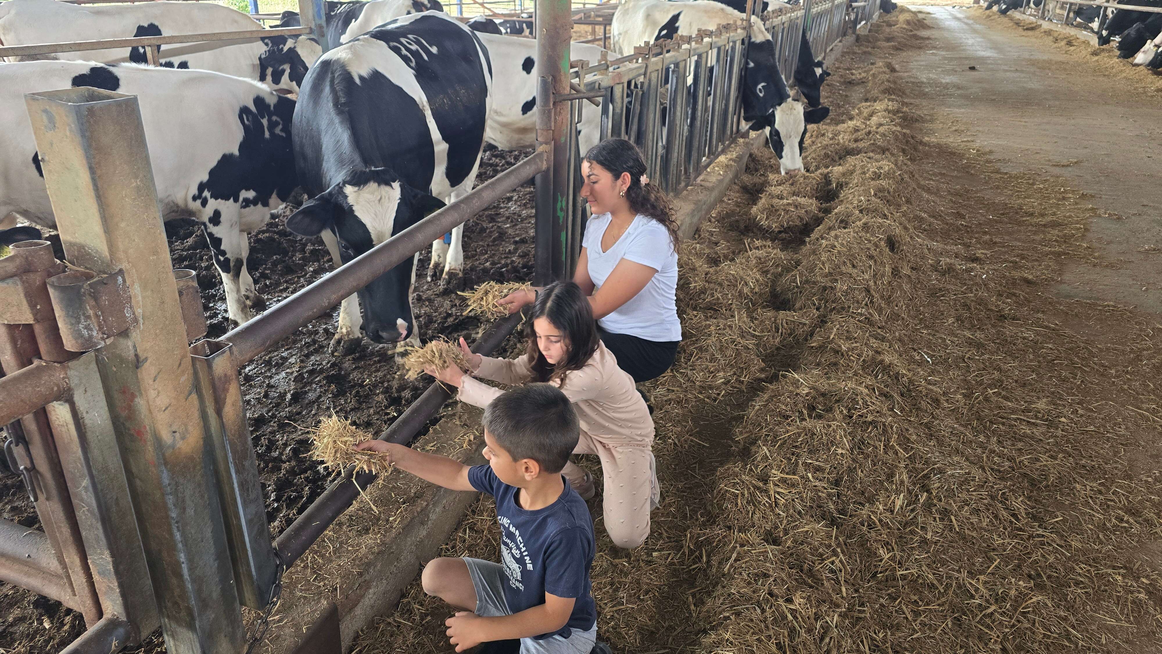 משק דוגמא | אורנה בן חיים