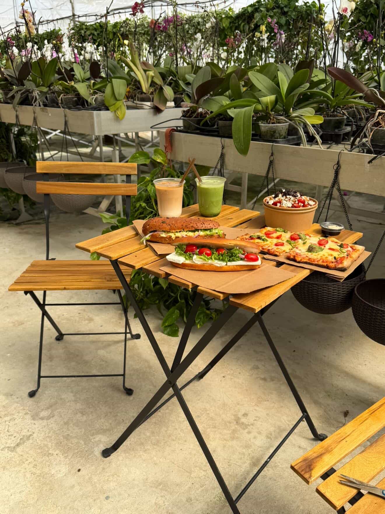 פדושקה | יובל חדד