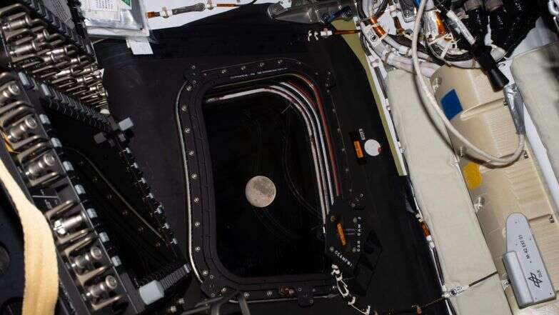 מבט על הירח שצולם על ידי צוות ארטמיס II לפני שהלכו לישון ביום החמישי לטיסה | NASA via AP מבט על הירח שצולם על ידי צוות ארטמיס II לפני שהלכו לישון ביום החמישי לטיסה | NASA via AP