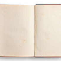 בזכות נשים למדניות | ללא