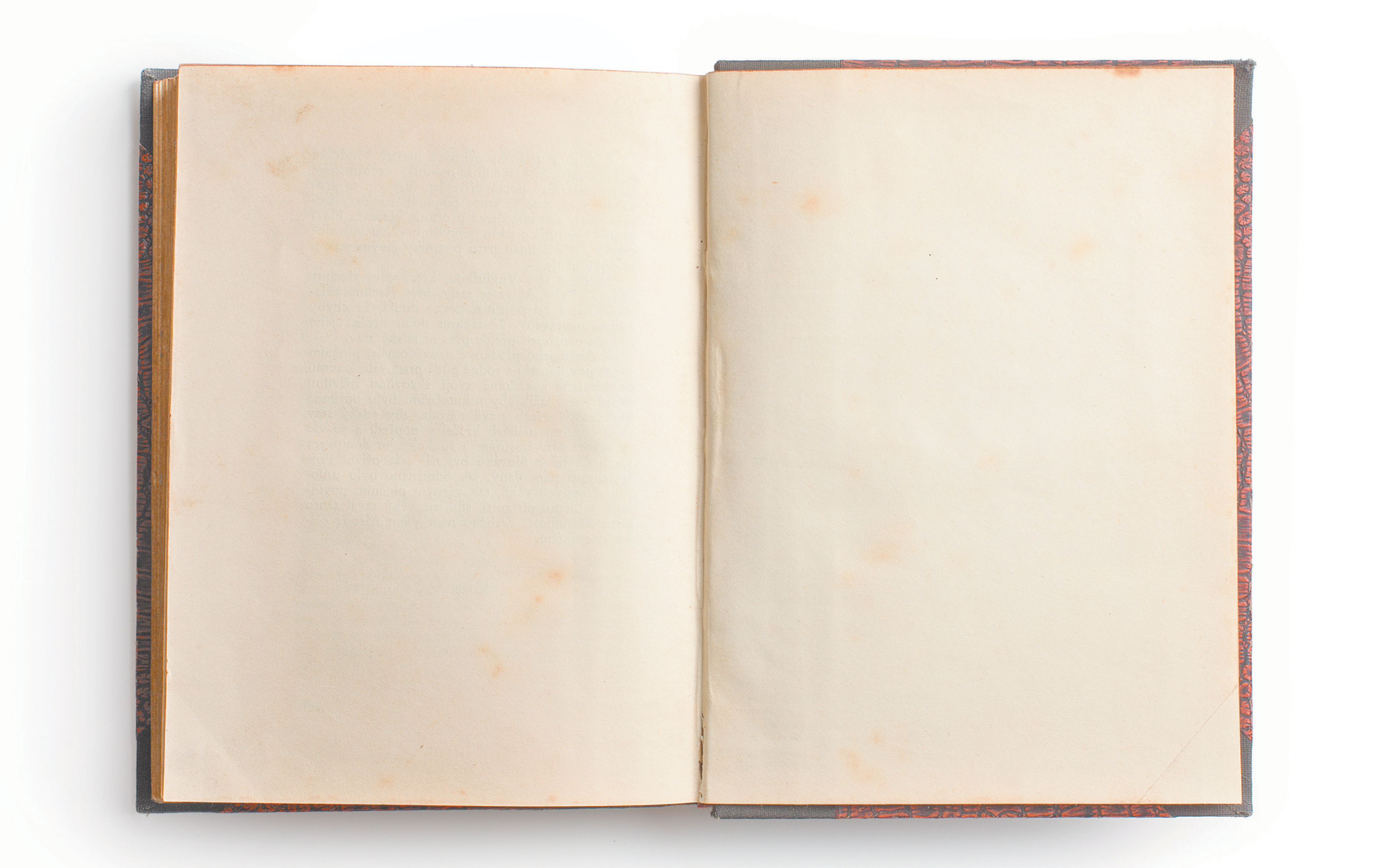 בזכות נשים למדניות | ללא