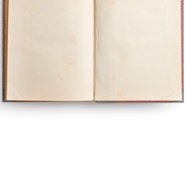 בזכות נשים למדניות | בינה מלאכותית