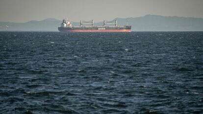 ספינת מטען מפליגה דרך מפרץ טוקיו בדרך למצרי הורמוז | AFP