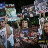 מרים אלסטר- פלאש 90