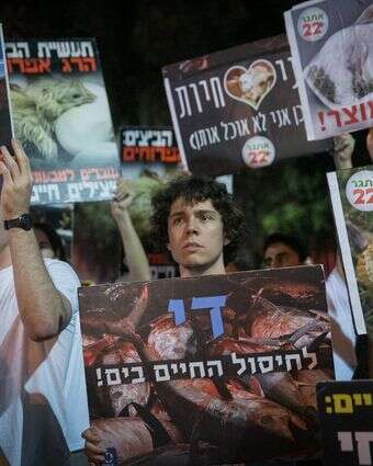 מרים אלסטר- פלאש 90