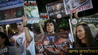 מרים אלסטר- פלאש 90