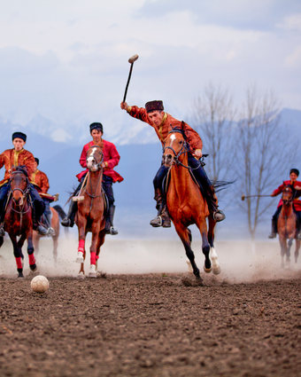 על הסוס דף הבית | גטי אימג'ס