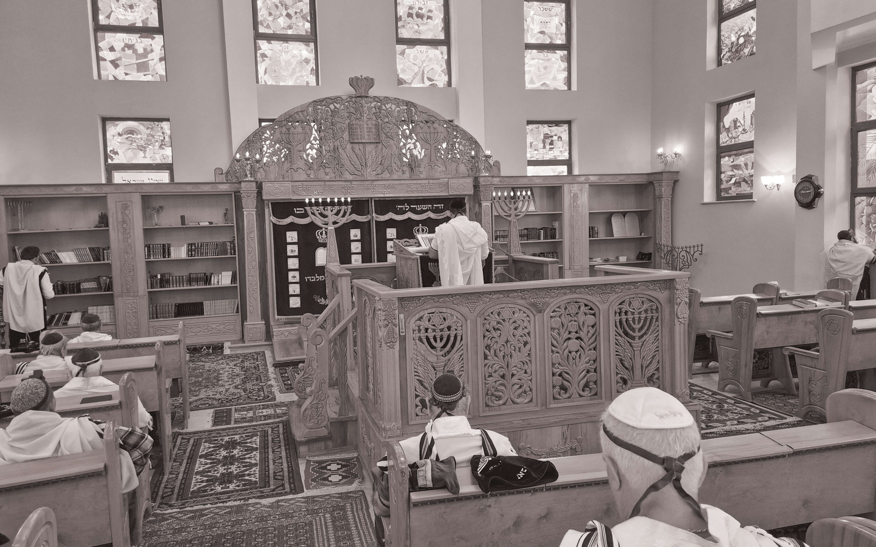 הג'והורים | מיכאל טוכפלד