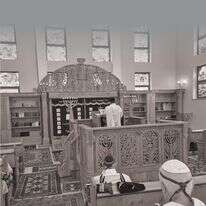 הג'והורים | מיכאל טוכפלד