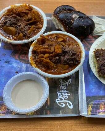 חתוליות הנני מוכן דף הבית | ג'ו ונאוה