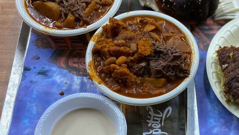 חתוליות הנני מוכן דף הבית | ג'ו ונאוה