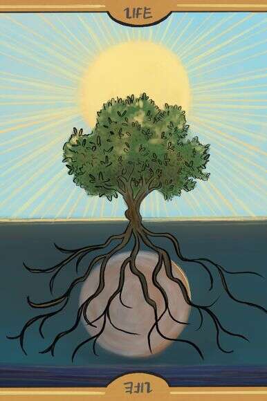 איור: שרון ארדיטי