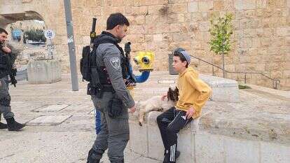 בארי סגל והגדי סמוך לשער האשפות, בערב פסח | ללא