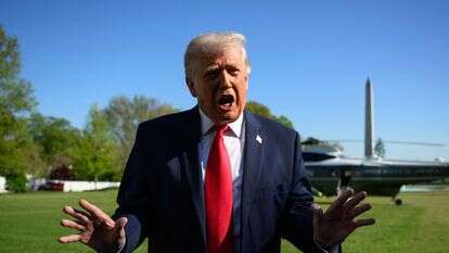 נשיא ארה"ב, דונלד טראמפ | AFP