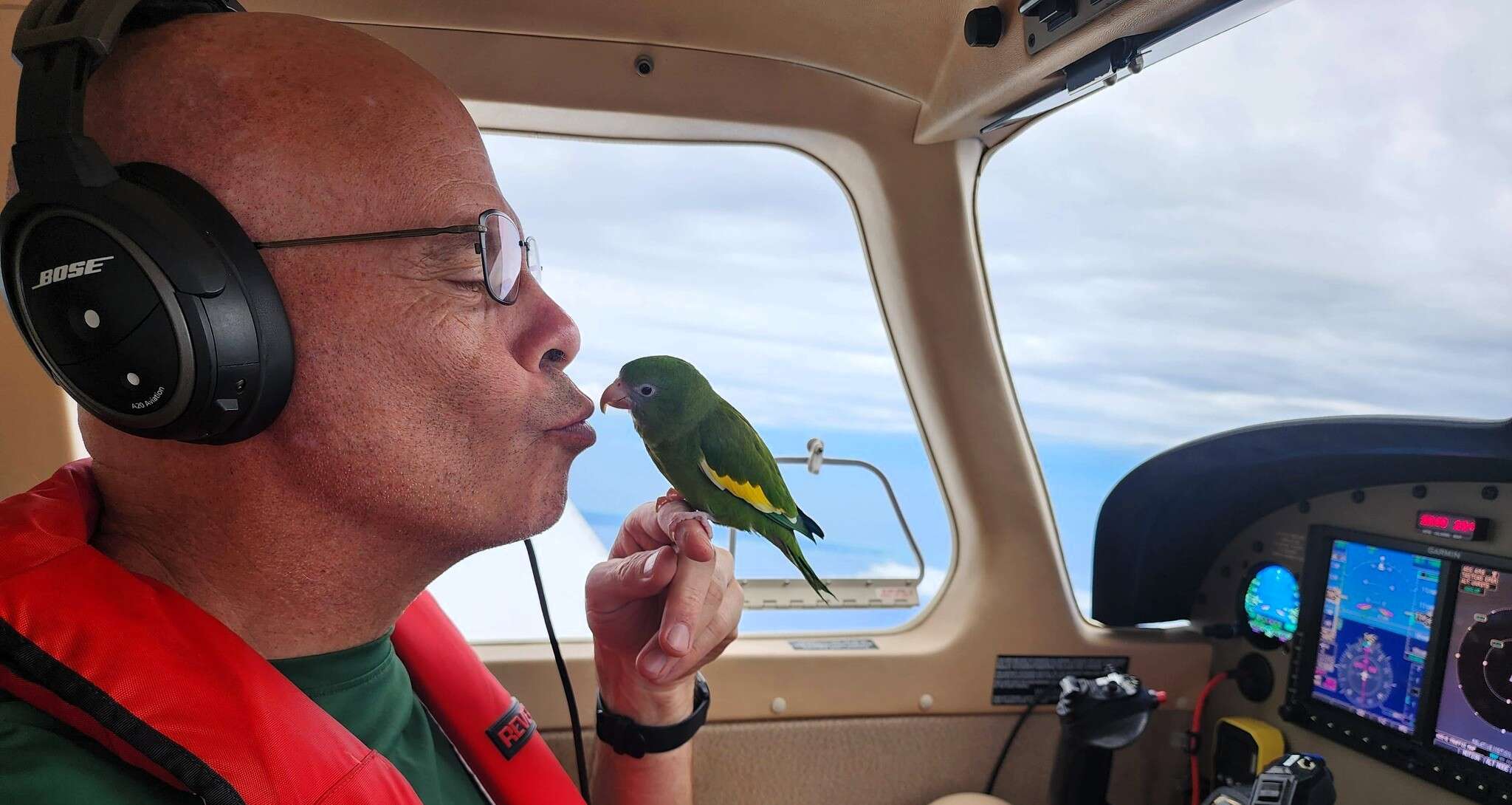 תוכי בצוללת: הסיפור המשוגע שכבש את הרשת