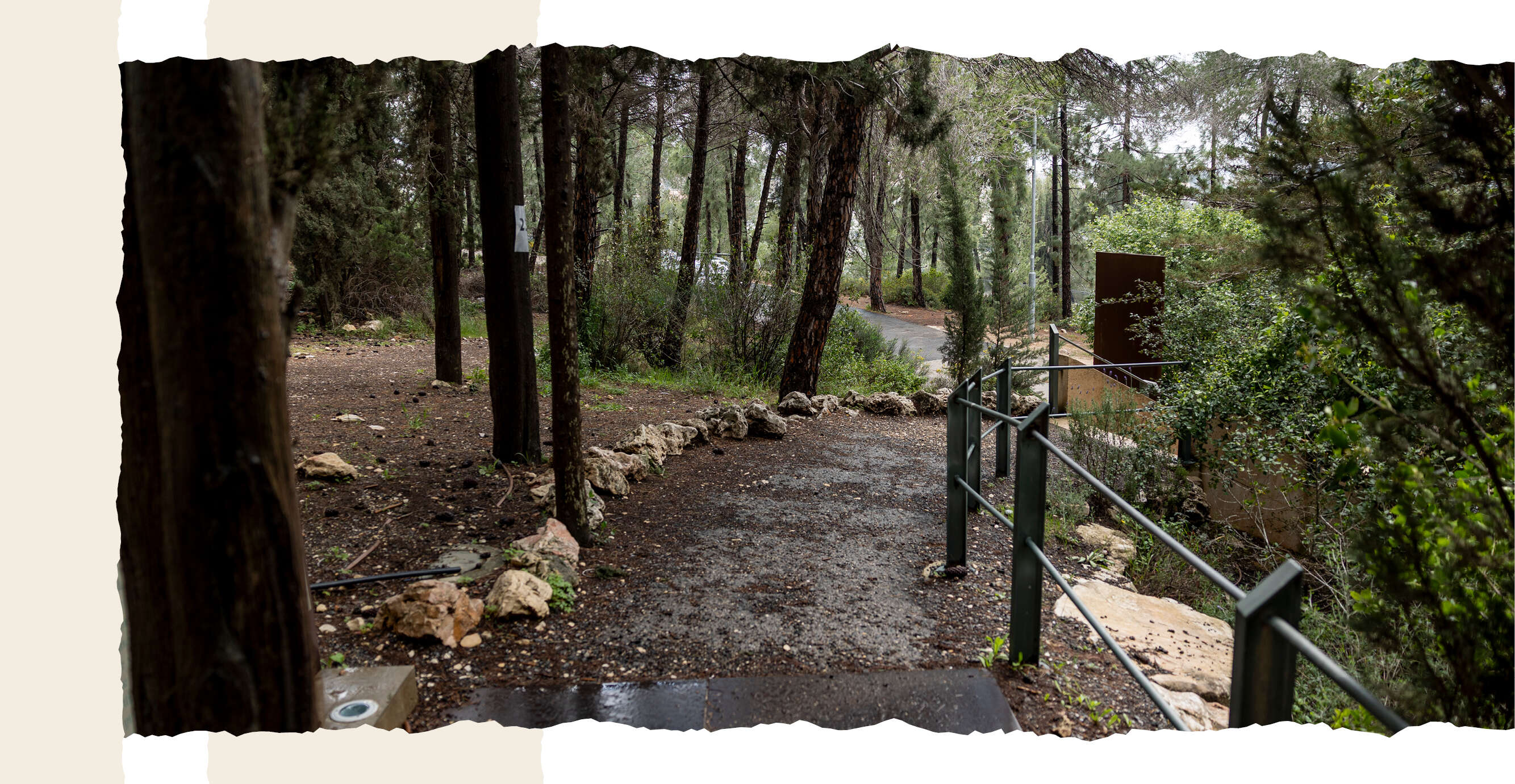 נעמה שטרן נעמה שטרן