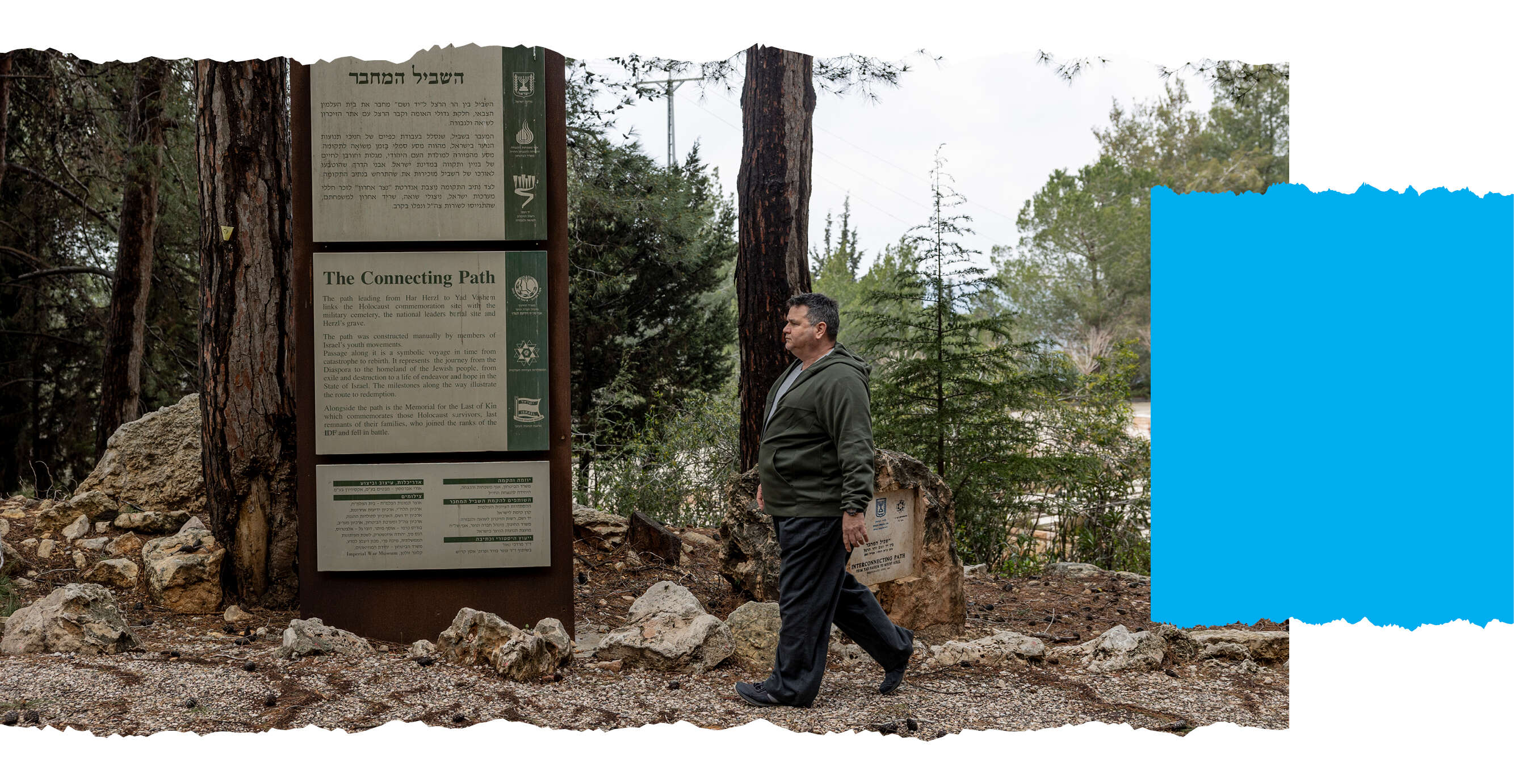 נעמה שטרן נעמה שטרן