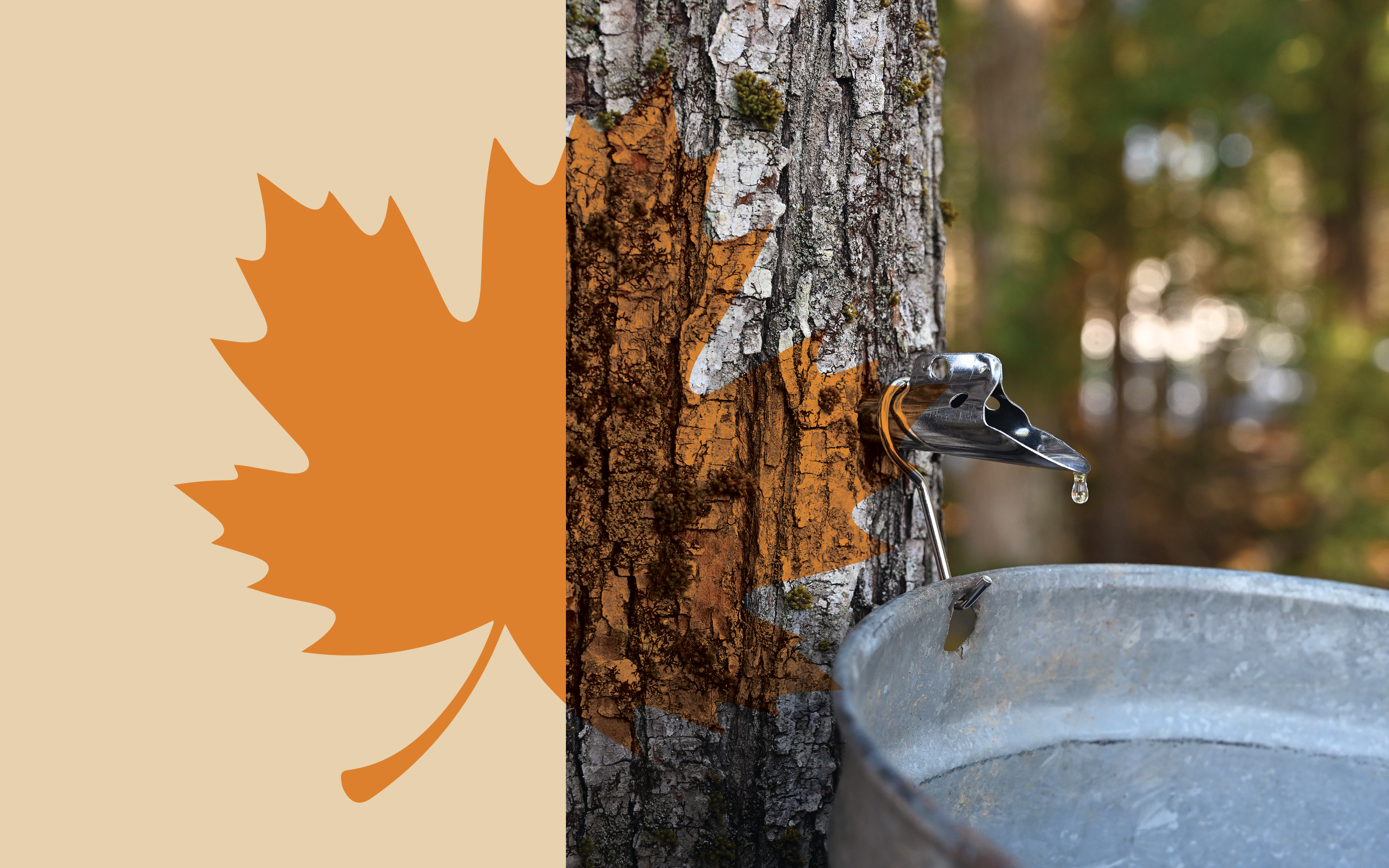 סוף מתוק | גטי אימג'ס