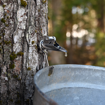 סוף מתוק דף הבית | גטי אימג'ס