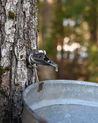 סוף מתוק דף הבית | גטי אימג'ס