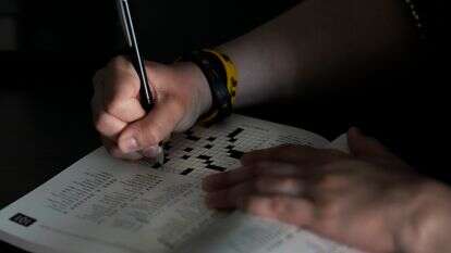 תשבץ, אילוסטרציה | AP Photo/Charles Rex Arbogast