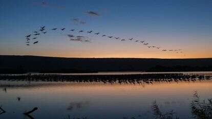 תחזית מזג האוויר, אילוסטרציה | אייל מרגולין, פלאש 90
